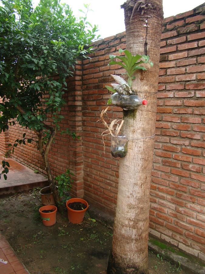 بيت شباب Sur Backpackers سانتا كروز دي لا سي المظهر الخارجي الصورة